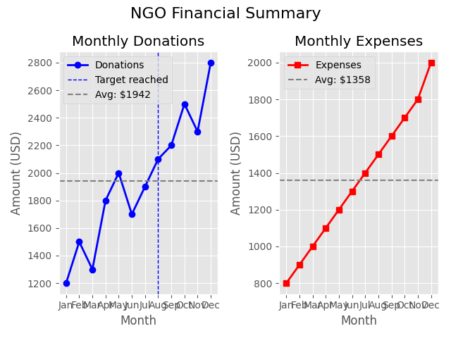 NGO Finance Chart